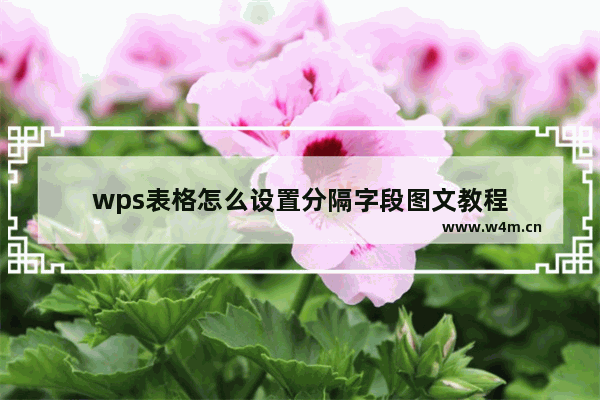 wps表格怎么设置分隔字段图文教程