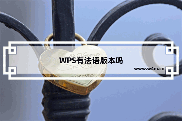 WPS有法语版本吗