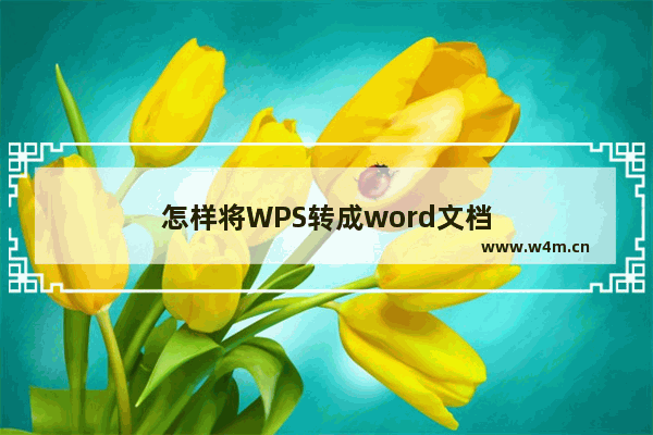 怎样将WPS转成word文档