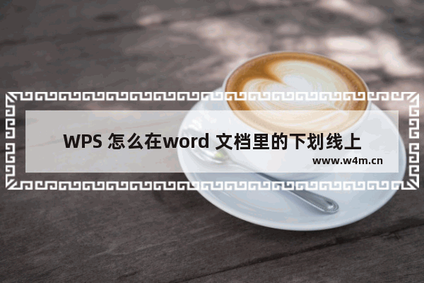 WPS 怎么在word 文档里的下划线上打字