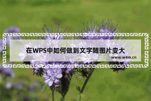 在WPS中如何做到文字随图片变大