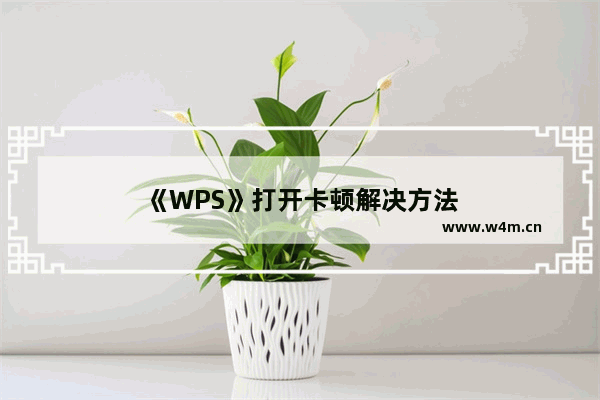 《WPS》打开卡顿解决方法