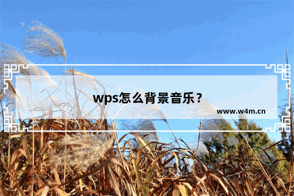 wps怎么背景音乐？