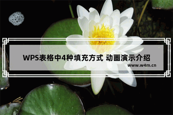 WPS表格中4种填充方式 动画演示介绍