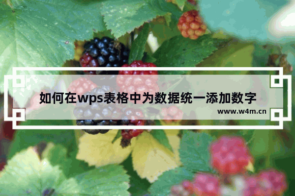 如何在wps表格中为数据统一添加数字