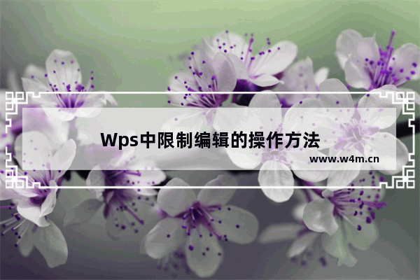 Wps中限制编辑的操作方法