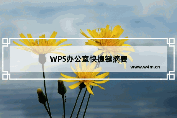 WPS办公室快捷键摘要