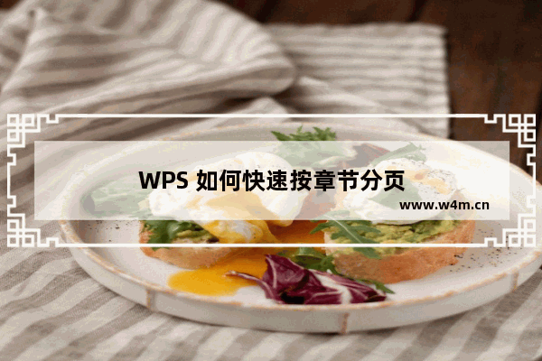 WPS 如何快速按章节分页