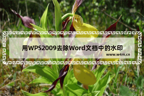 用WPS2009去除Word文档中的水印