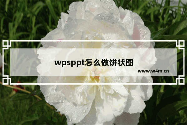 wpsppt怎么做饼状图