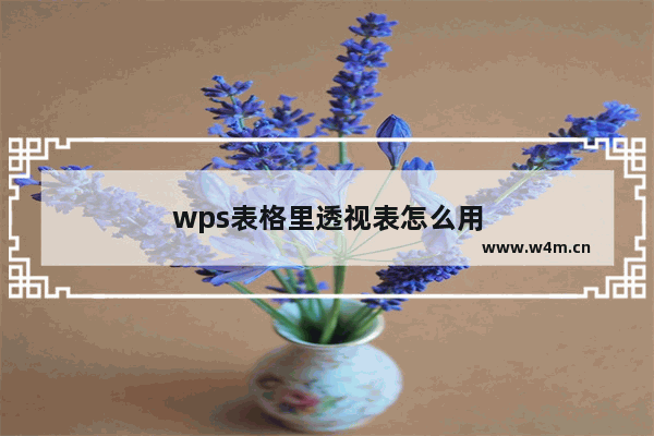 wps表格里透视表怎么用