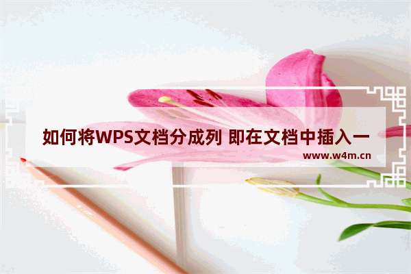 如何将WPS文档分成列 即在文档中插入一条垂直线 将一页分成两列