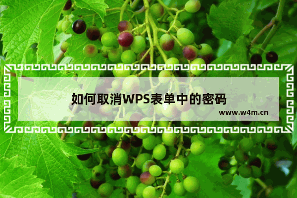 如何取消WPS表单中的密码