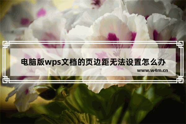 电脑版wps文档的页边距无法设置怎么办