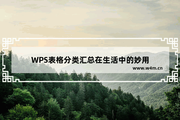 WPS表格分类汇总在生活中的妙用