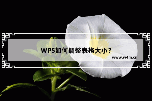 WPS如何调整表格大小？