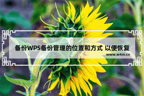 备份WPS备份管理的位置和方式 以便恢复以前的文件或未保存的文件