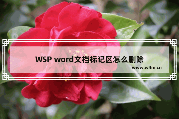 WSP word文档标记区怎么删除