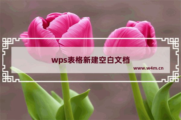 wps表格新建空白文档