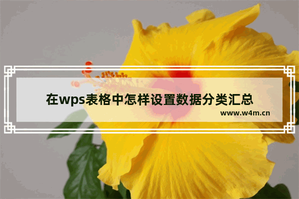 在wps表格中怎样设置数据分类汇总