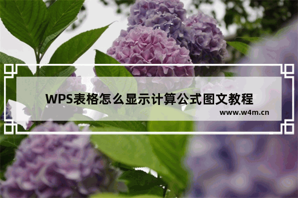 WPS表格怎么显示计算公式图文教程