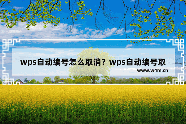 wps自动编号怎么取消？wps自动编号取消方法详细介绍(多图)