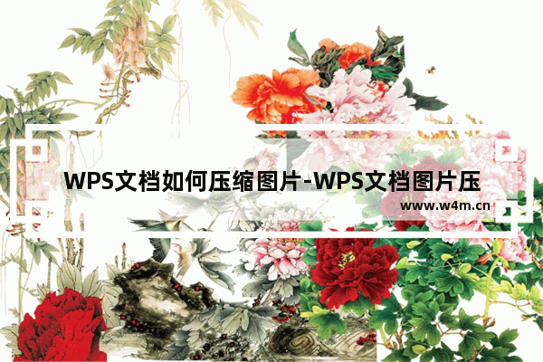 WPS文档如何压缩图片-WPS文档图片压缩方法