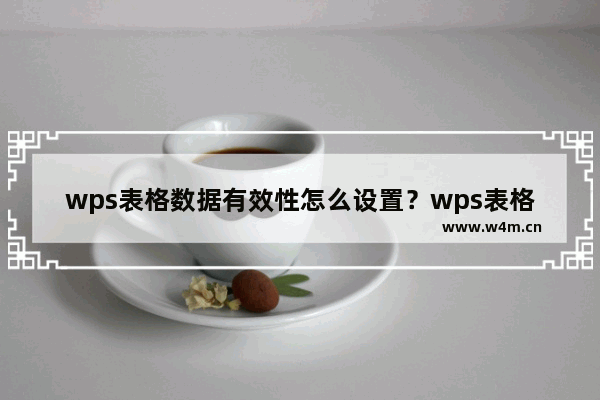 wps表格数据有效性怎么设置？wps表格数据有效性设置的方法技巧