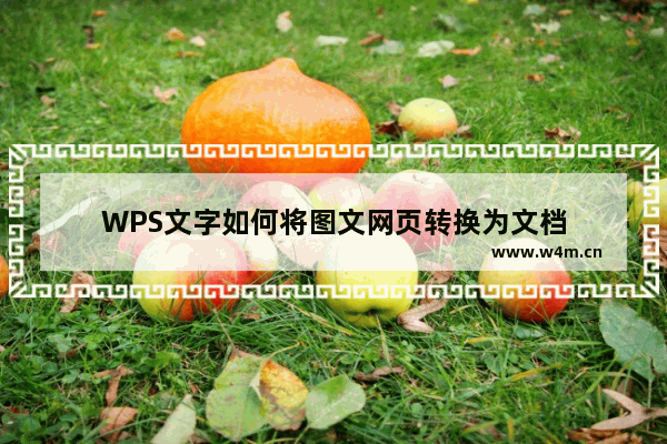 WPS文字如何将图文网页转换为文档