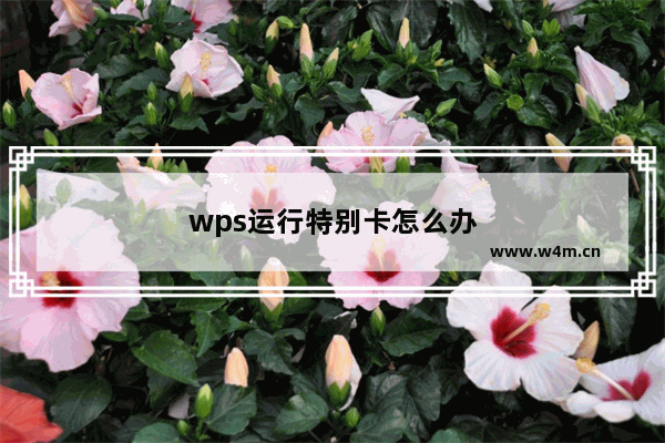 wps运行特别卡怎么办