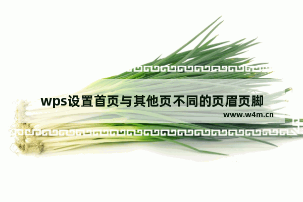 wps设置首页与其他页不同的页眉页脚