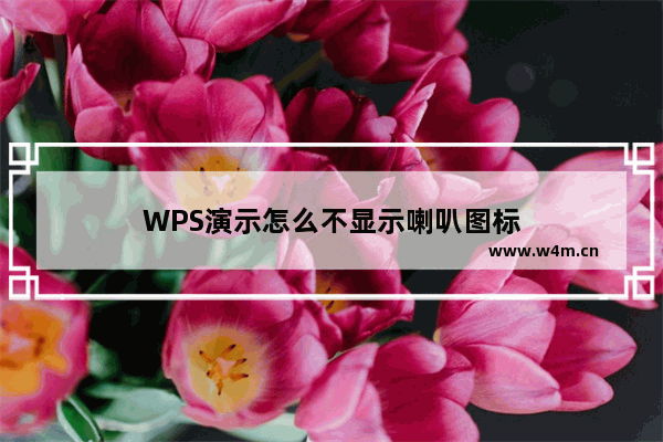 WPS演示怎么不显示喇叭图标