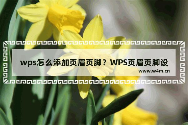 wps怎么添加页眉页脚？WPS页眉页脚设置步骤图解