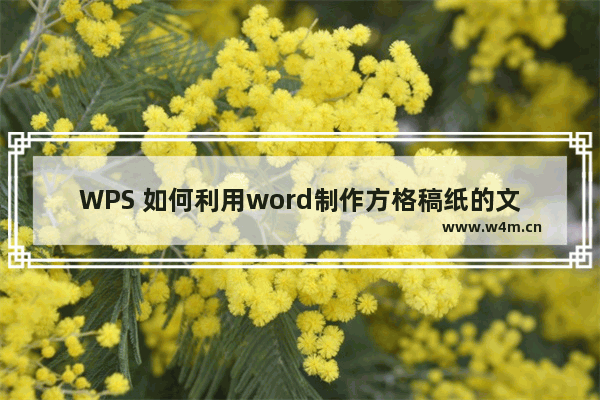 WPS 如何利用word制作方格稿纸的文档