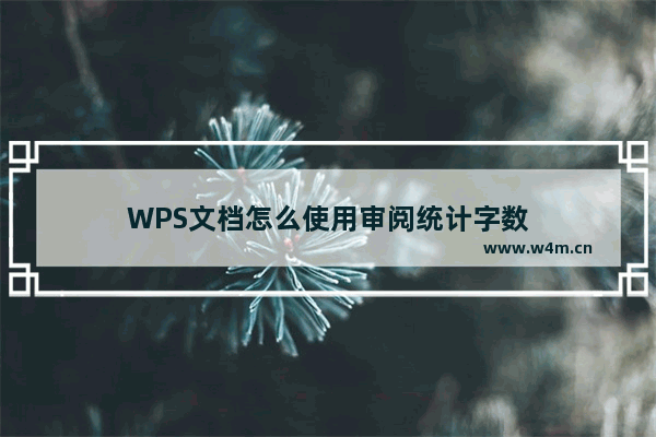 WPS文档怎么使用审阅统计字数