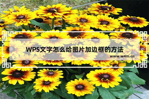 WPS文字怎么给图片加边框的方法