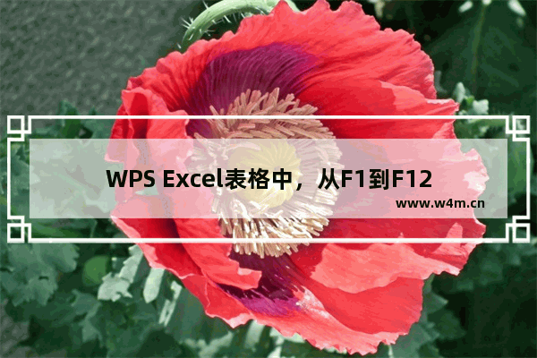 WPS Excel表格中，从F1到F12的所有快捷键分别有什么功能