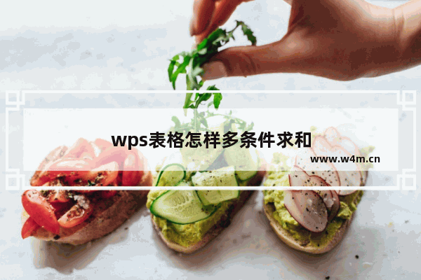 wps表格怎样多条件求和