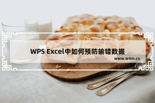 WPS Excel中如何预防输错数据