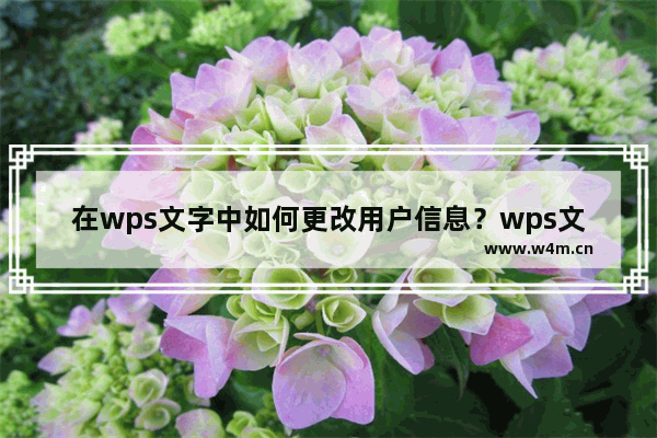 在wps文字中如何更改用户信息？wps文字设置用户信息的方法