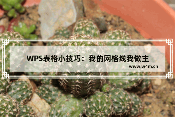 WPS表格小技巧：我的网格线我做主