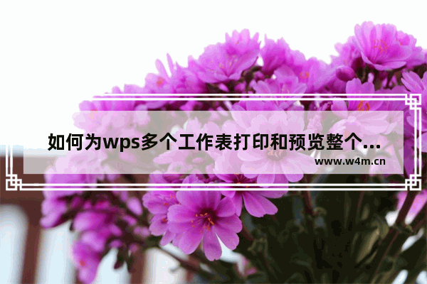 如何为wps多个工作表打印和预览整个工作簿的所有工资单表