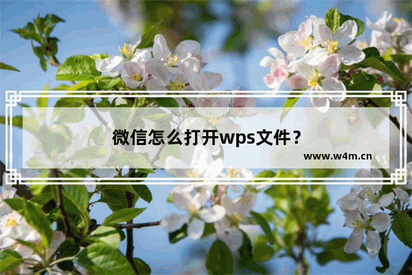 微信怎么打开wps文件？