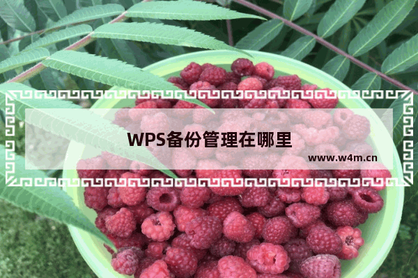 WPS备份管理在哪里