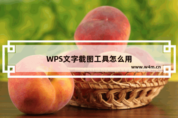 WPS文字截图工具怎么用