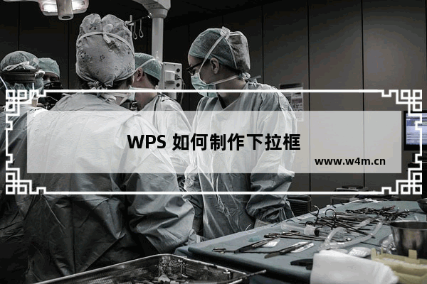 WPS 如何制作下拉框