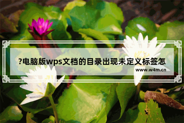 ?电脑版wps文档的目录出现未定义标签怎么办