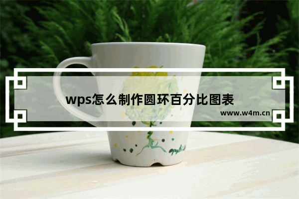 wps怎么制作圆环百分比图表