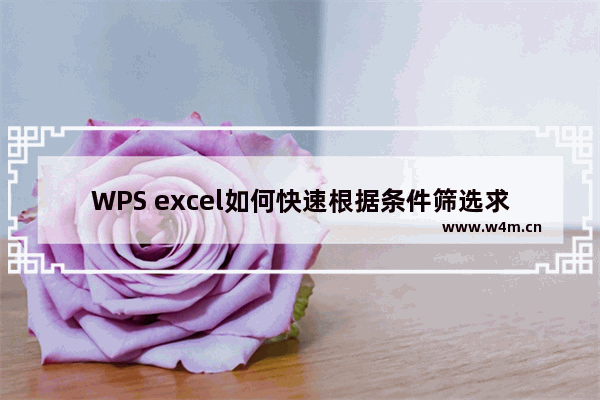 WPS excel如何快速根据条件筛选求和