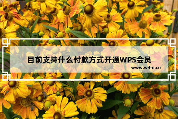 目前支持什么付款方式开通WPS会员